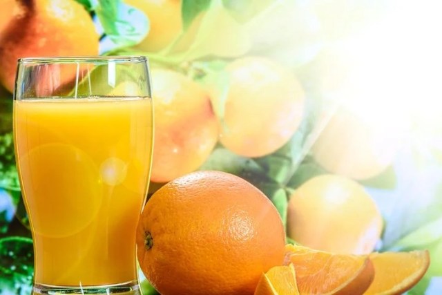 Orange Juice Production Business in South Africa